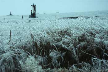 Oil Drill